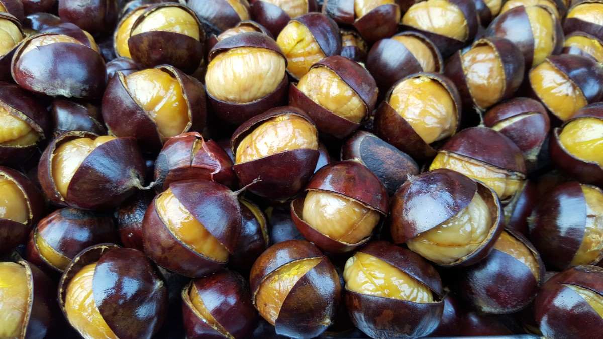 Marche roasted chestnuts