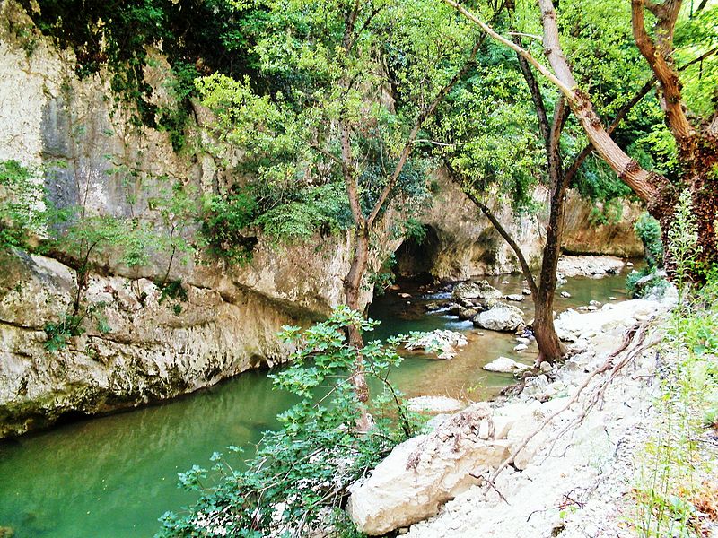 Bosco_di_Frasassi_Ancona_Marche_Italy