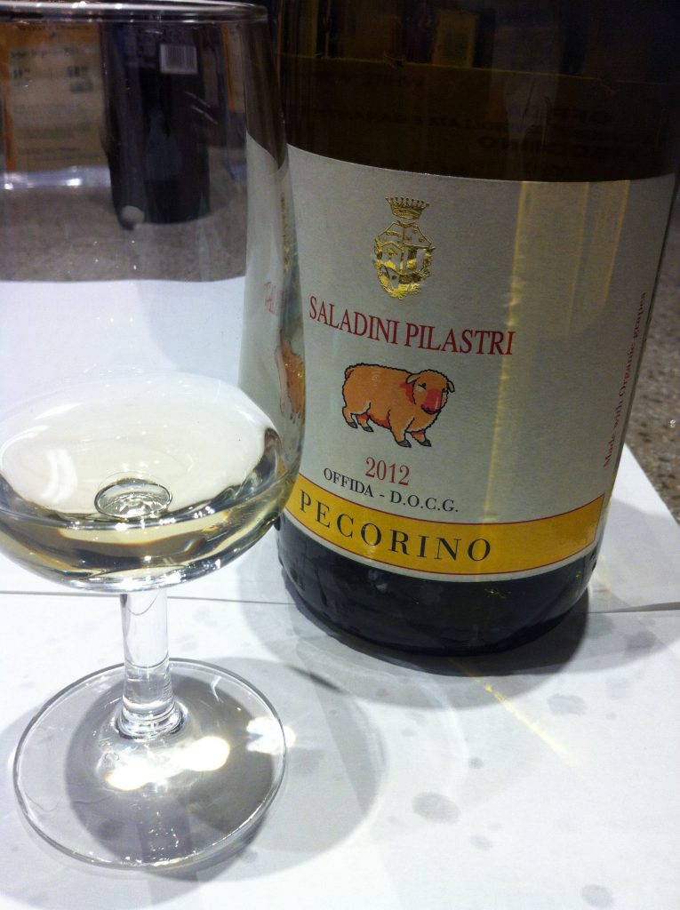 alt="the Pecorino wine is typical of Marche Region"